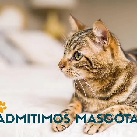 Independencia 3000 サラゴサ