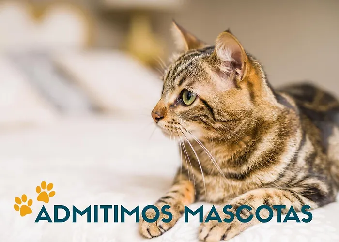 Independencia 3000 Saragossa